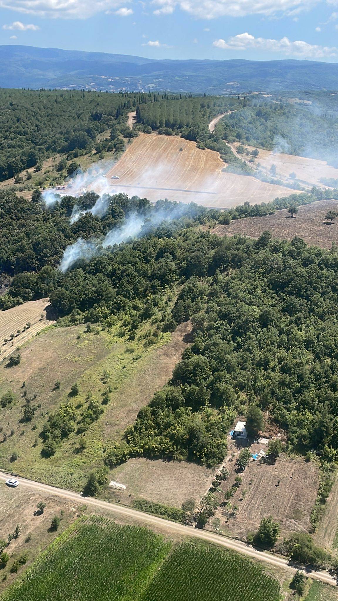 Bursa'da Orman Yangını, 1,5 Saatte Kontrol Altına Alındı