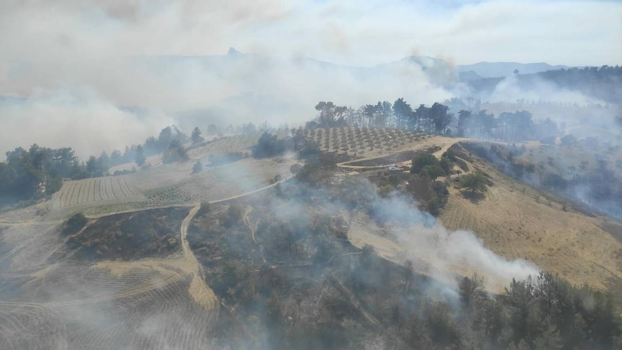 Manisa'da Orman Yangını (2)