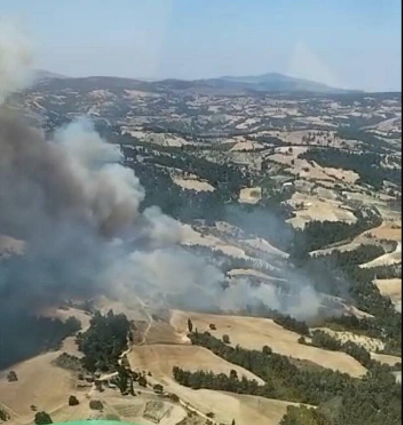 Manisa'da Orman Yangını Çıktı