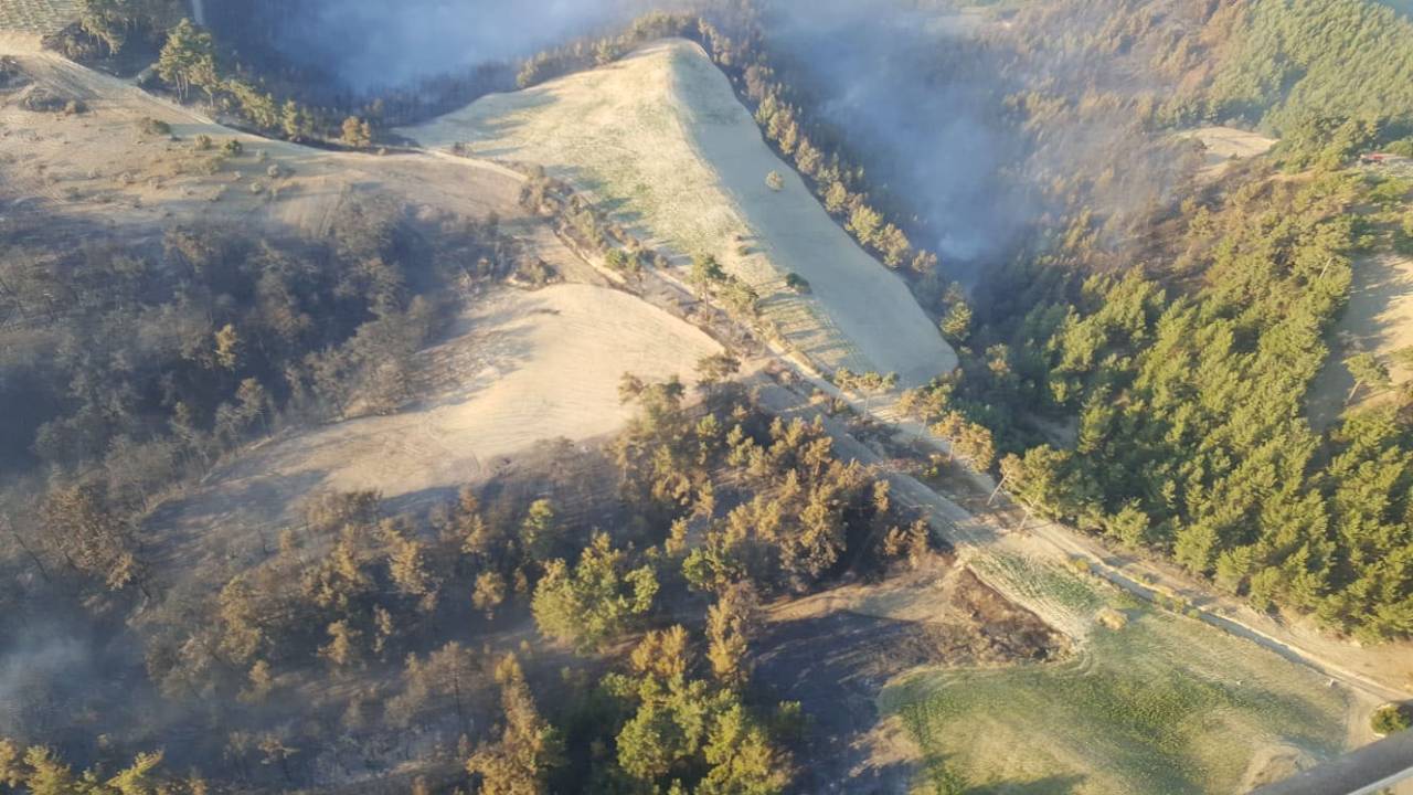 Manisa'da 85 Hektar Orman, 100 Hektar Tarım Arazisinin Zarar Gördüğü Yangına 2 Gözaltı