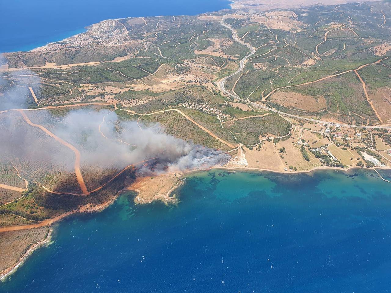 İzmir Seferihisar’da Orman Yangını (2)