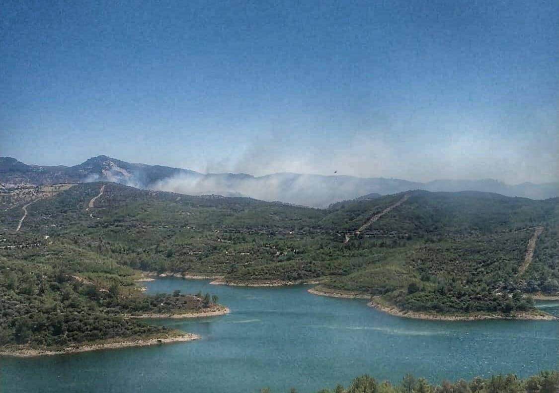 İzmir Seferihisar’da Orman Yangını