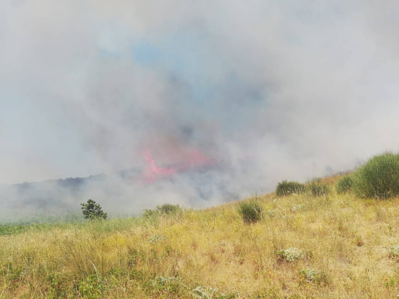 Şarköy'de Makilik Yangını; 5 Hektar Yandı