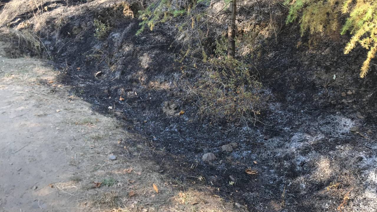 Kocaeli'de Çıkan Orman Yangını 2 Saatte Kontrol Altına Alındı