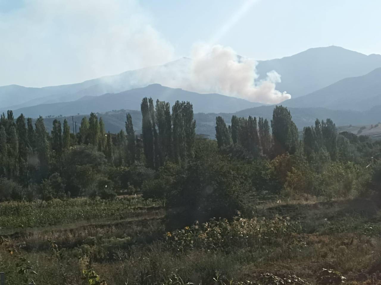 Kütahya'da Orman Yangını