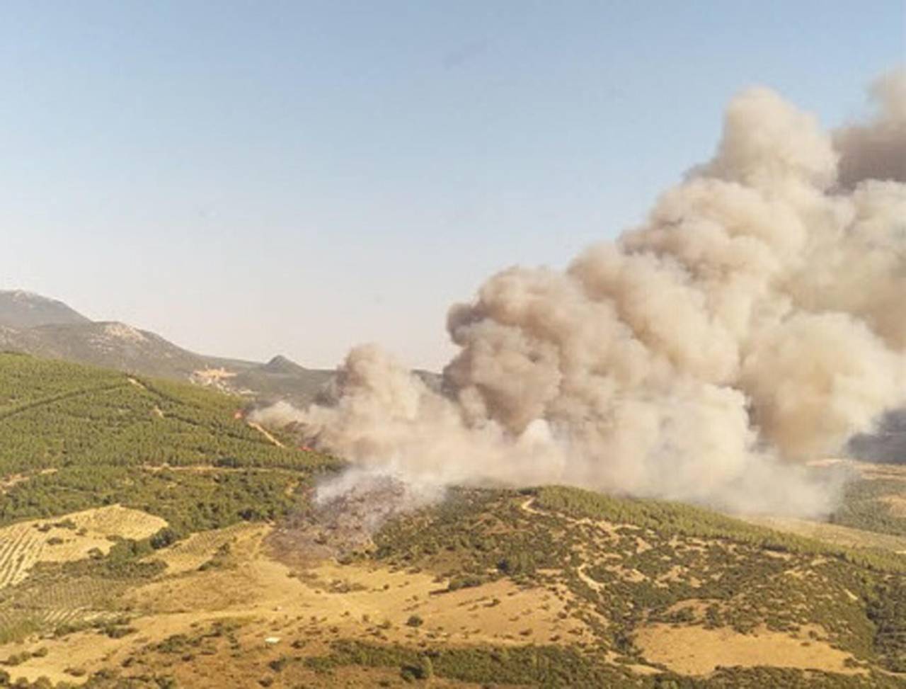 Manisa'da Orman Yangını