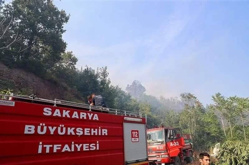 Adapazarı'nda 6 Hektar Orman Yandı