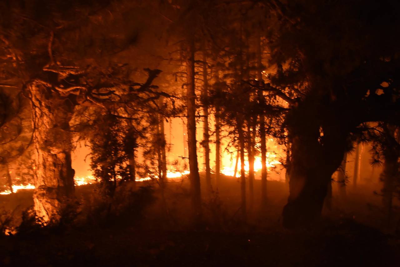 Kütahya'da Orman Yangını (3)