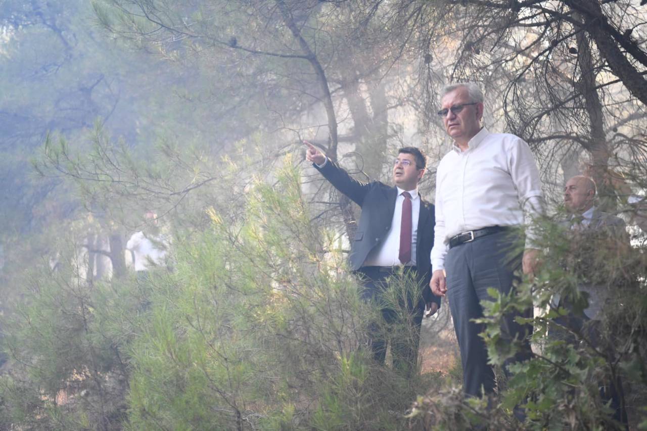 Edirne'de Çıkan Orman Yangını Söndürüldü (2)