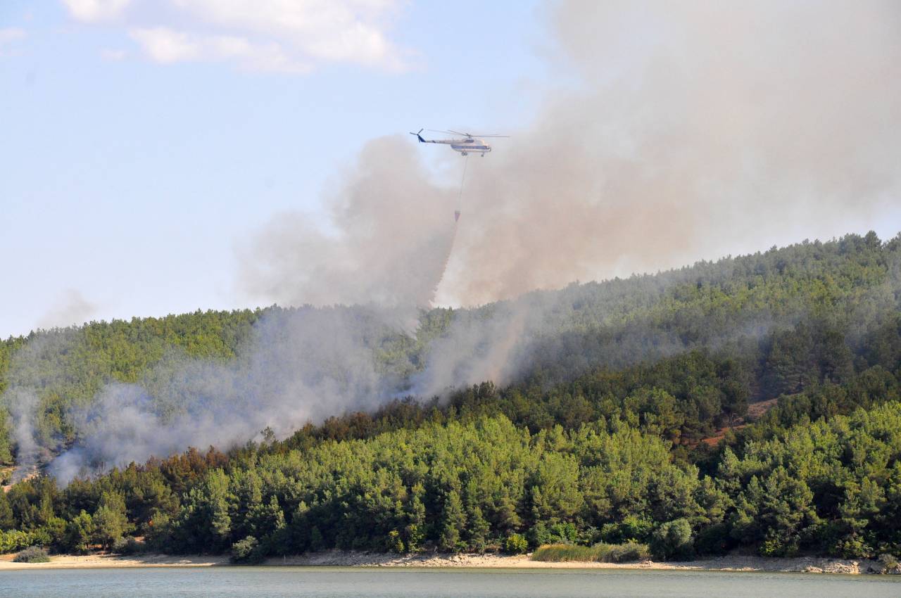 Edirne'de Çıkan Orman Yangını Söndürüldü