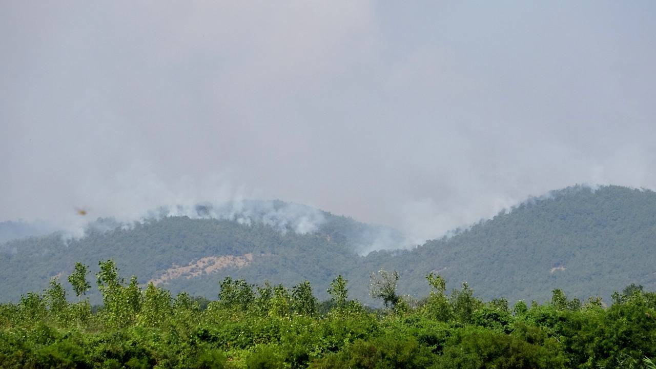 Yunanistan'daki Orman Yangını, Türkiye'den Endişe İle İzleniyor