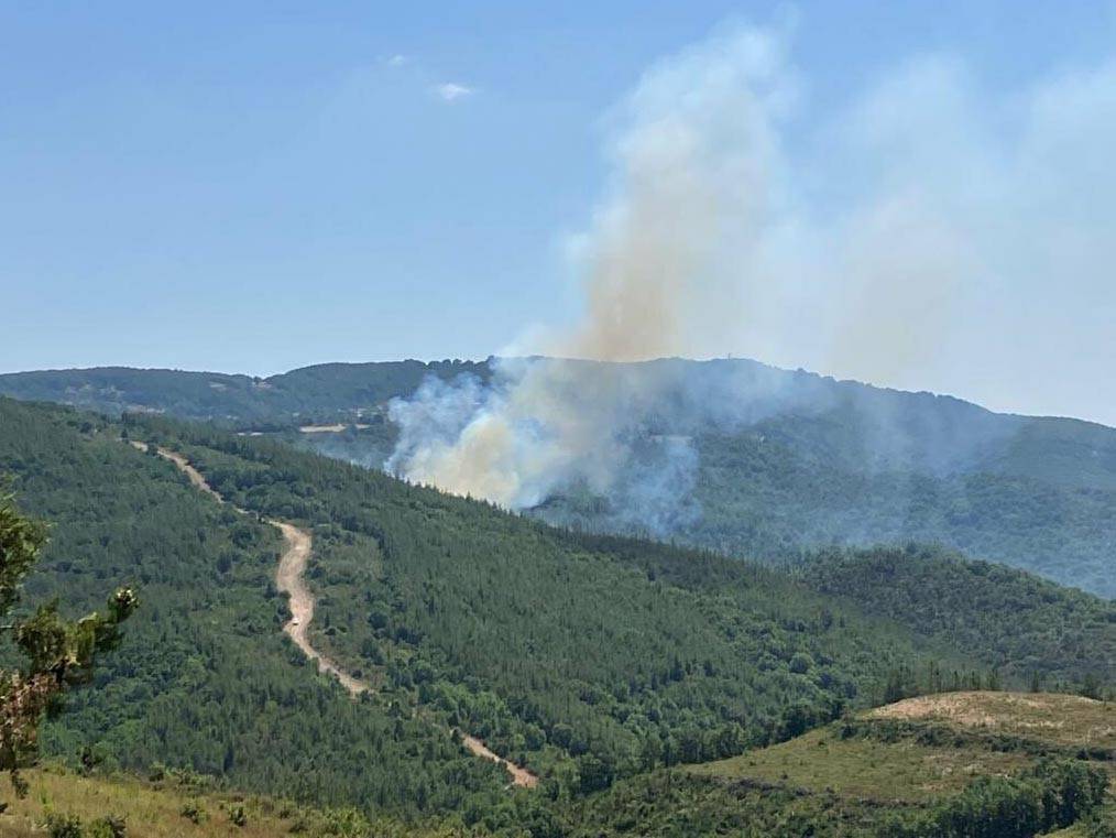 Biga'da Orman Yangını (1)