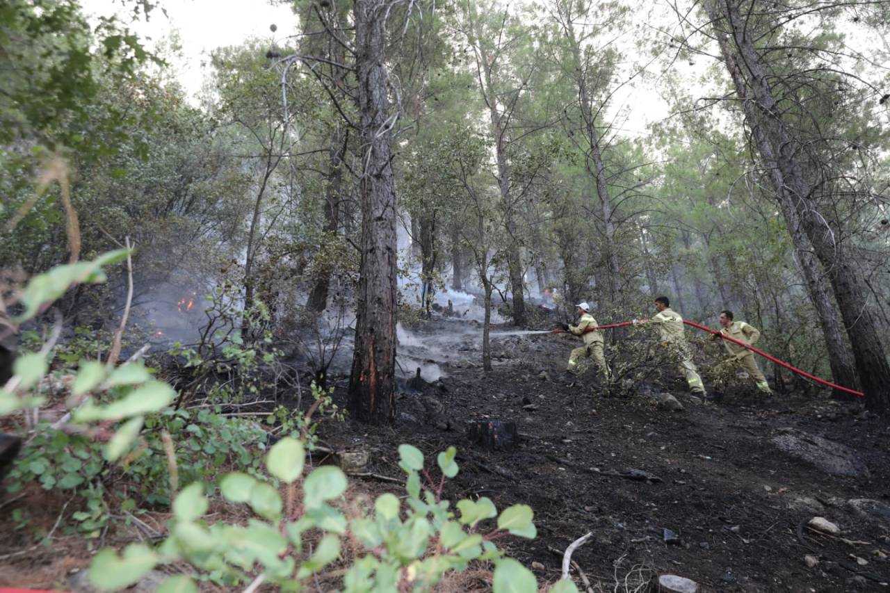 Burdur'daki Orman Yangını, 6 Saatte Kontrol Altına Alındı