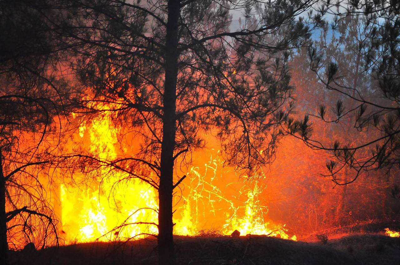 Manisa'da, 5 Gün Arayla 444 Hektar Alan Yandı