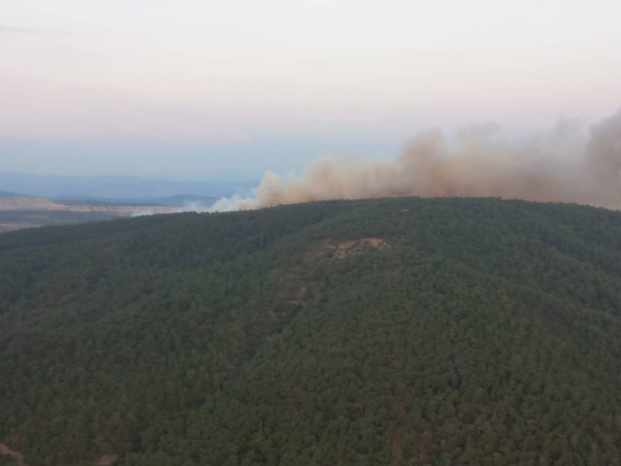 Soma'da Orman Yangını