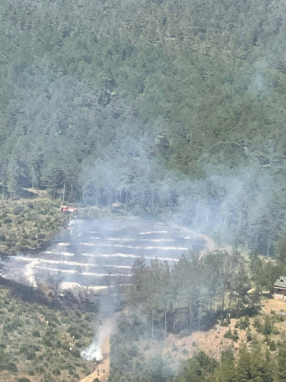Bursa'da Çıkan Orman Yangını Söndürüldü