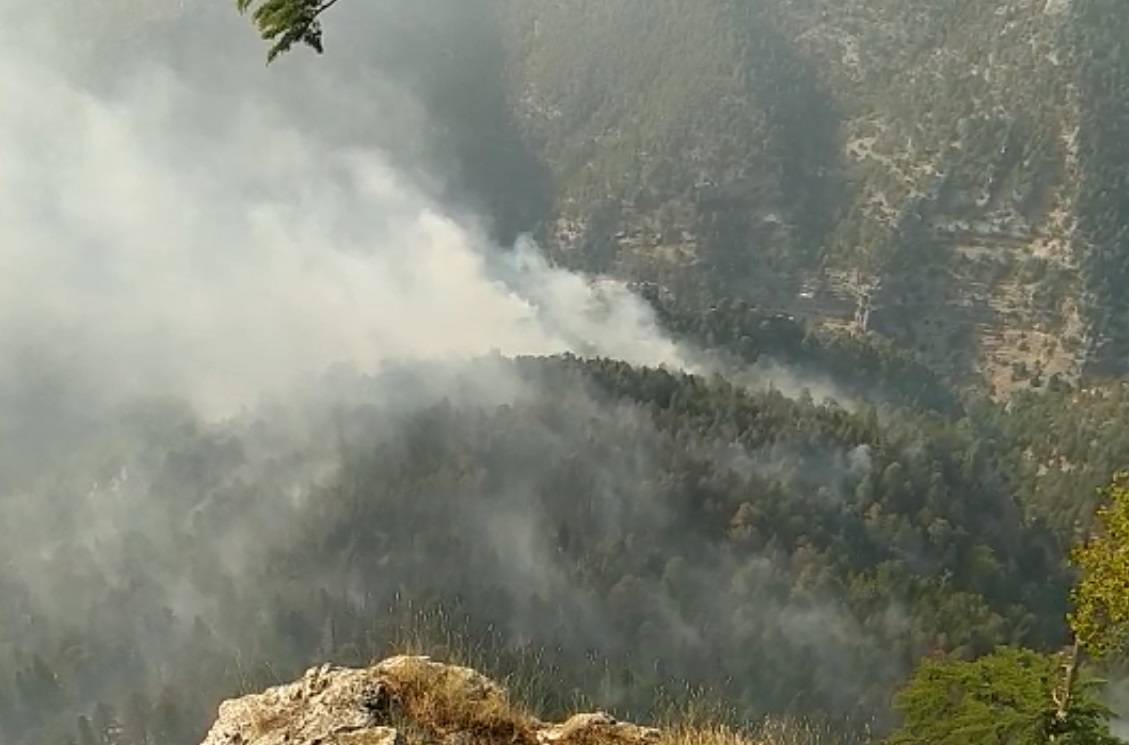 Mersin'deki Orman Yangınında 15 Hektar Zarar Gördü