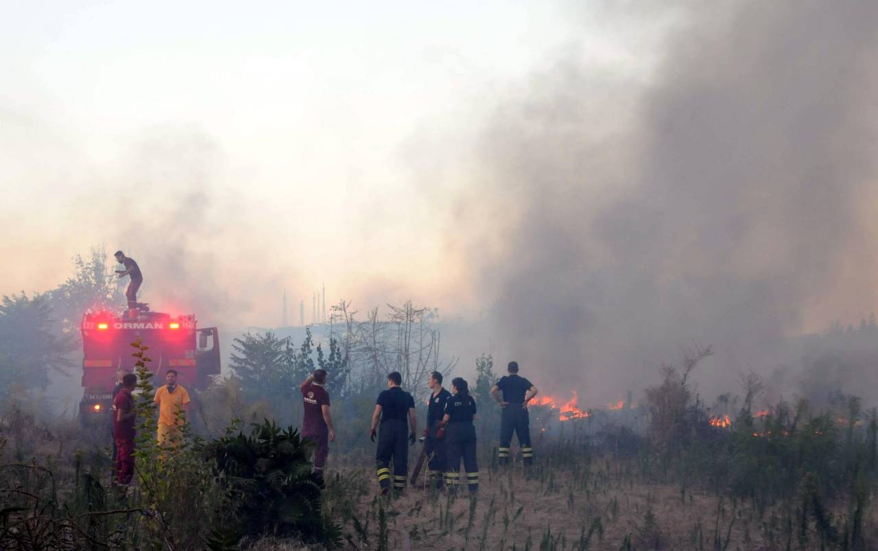 Edirne'de, Meriç Nehri Kıyısında Çıkan Otluk Yangını Söndürüldü