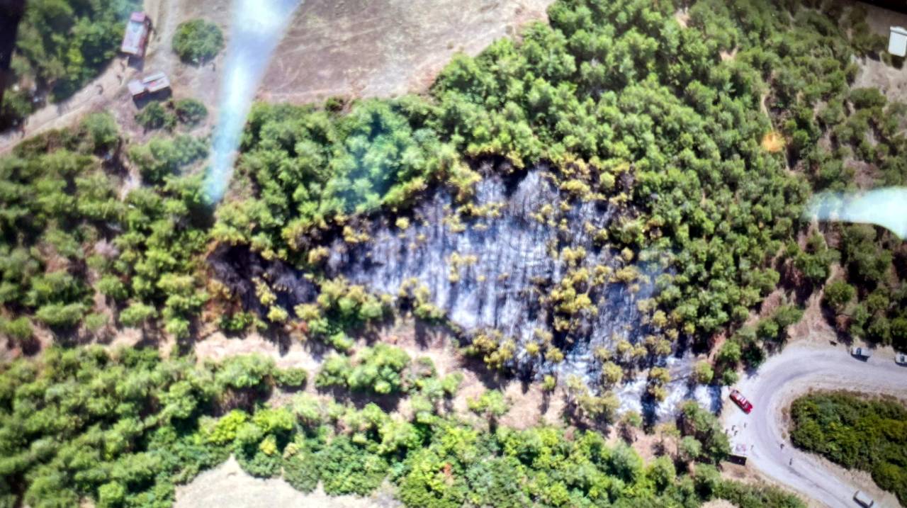 Tokat'ta Orman Yangını; 1 Saatte Kontrol Altına Alındı