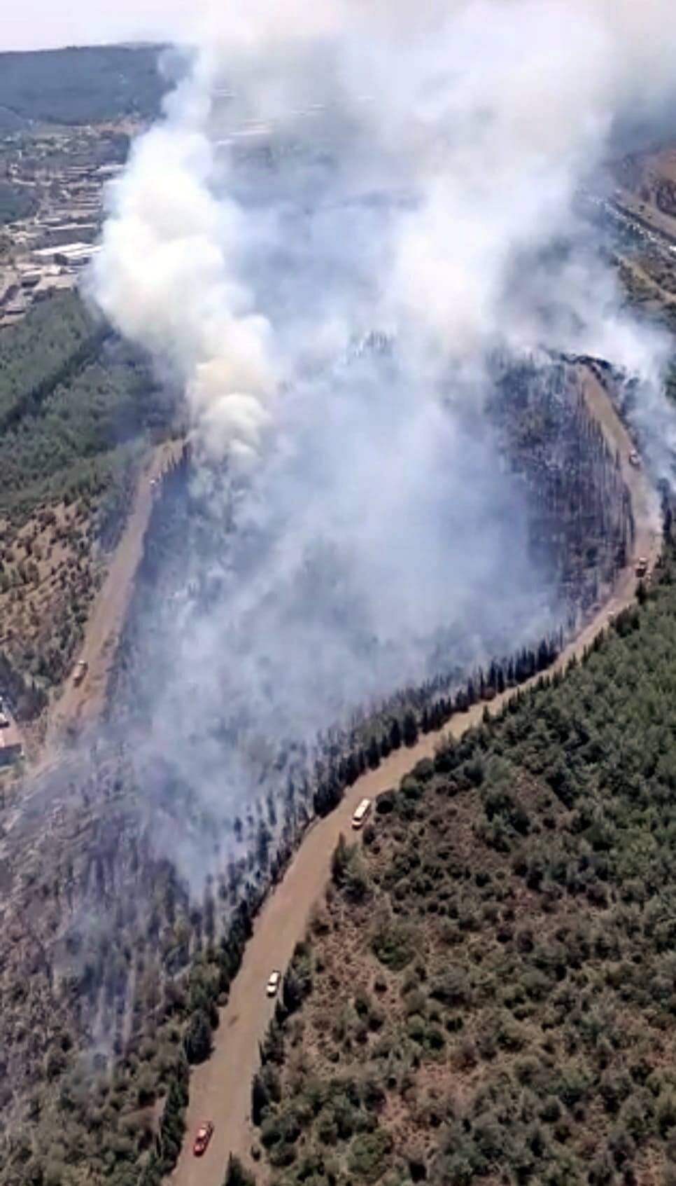 İzmir'de Orman Yangını (1)