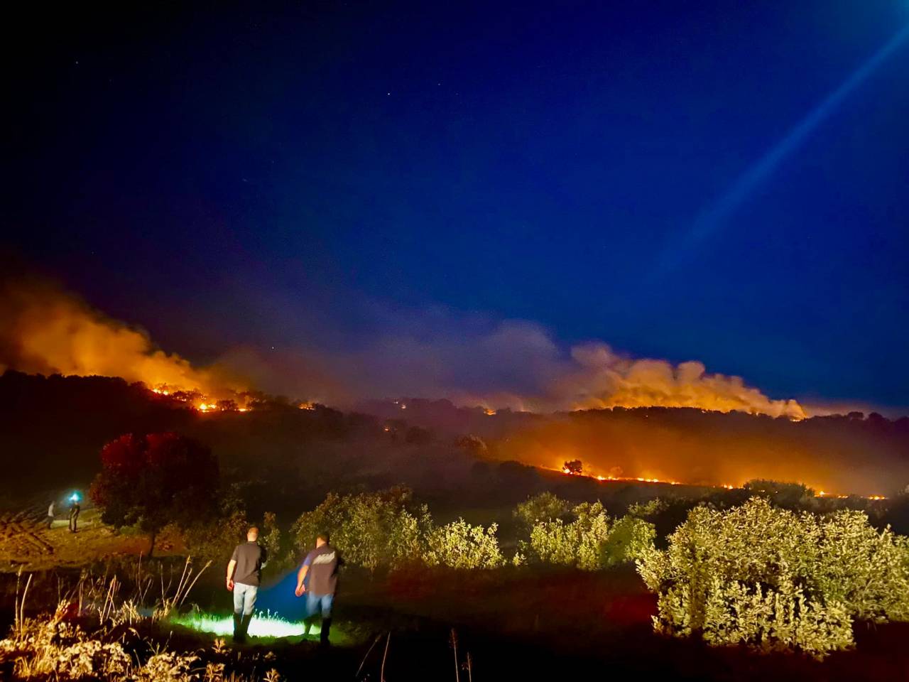 Diyarbakır'da 3 Ayrı Noktadaki Orman Yangını 3 Saatte Söndürüldü
