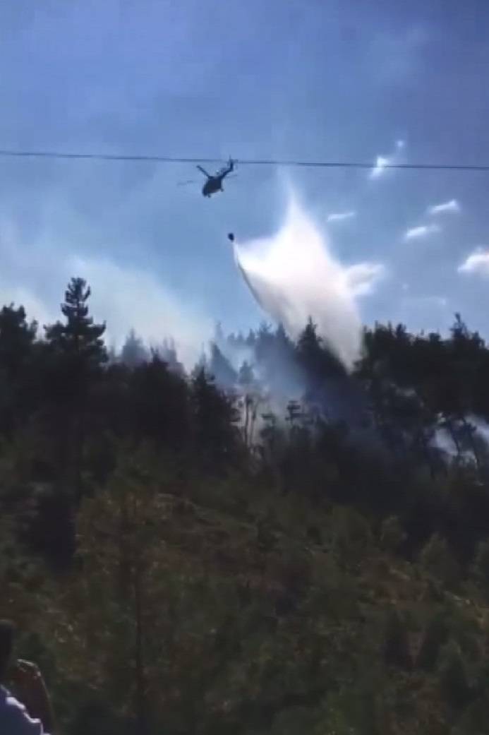 Bursa'da Orman Yangını