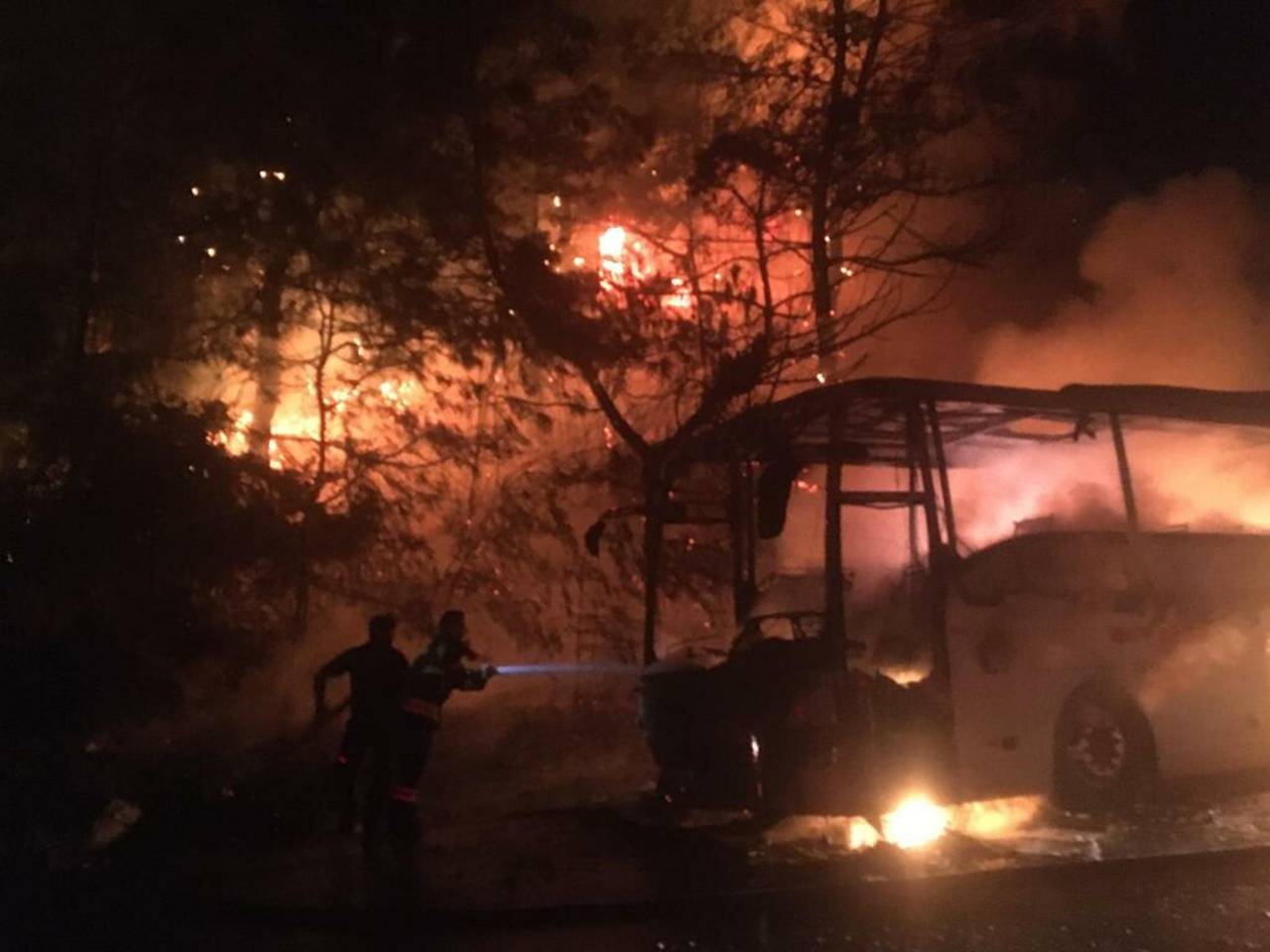 Marmaris'te Yolcu Otobüsündeki Yangın, Ormana Sıçradı