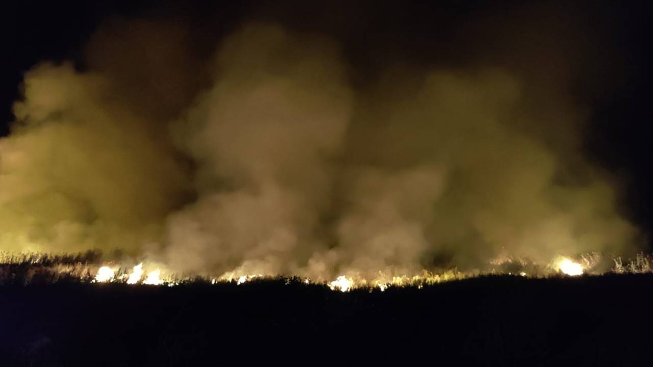 İznik Gölü Kenarındaki Sazlık Alanda Yangın Çıktı