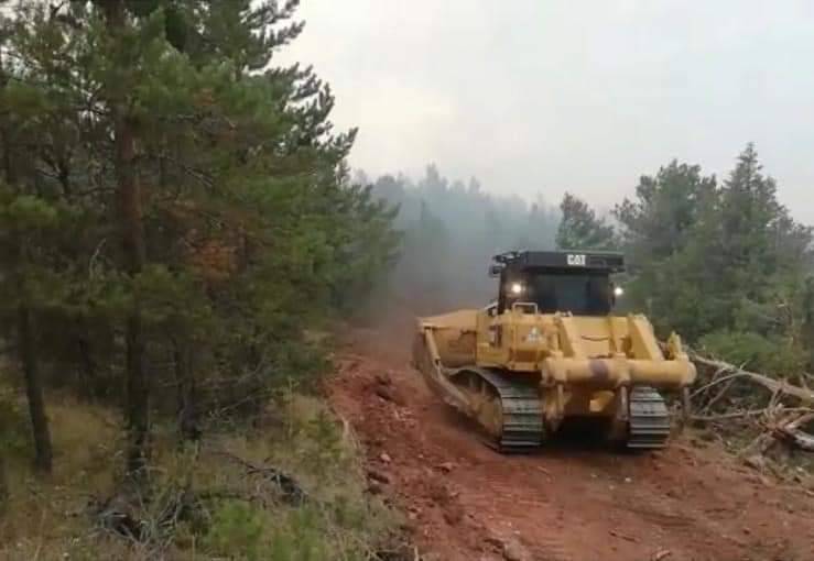 Erzincan'daki Orman Yangınında 13 Hektar Alan Kül Oldu