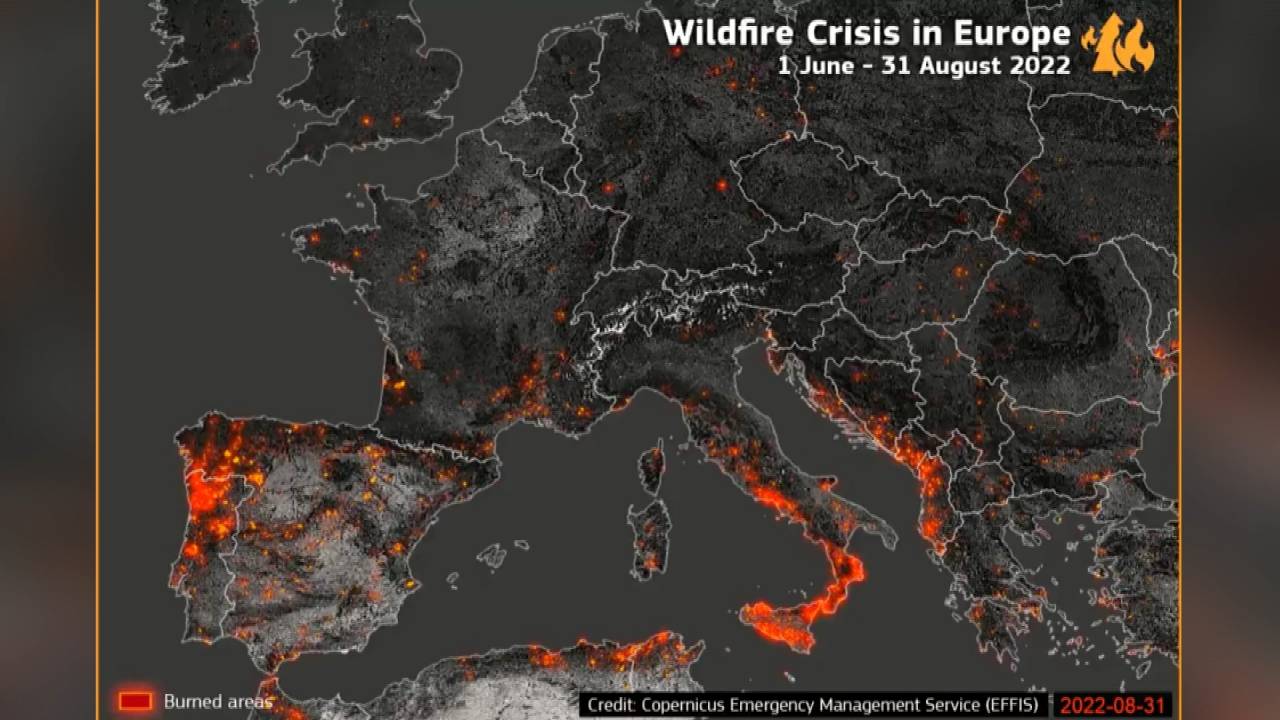 Avrupa’da 3 Aylık Orman Yangınının Tahribatı Uzaydan Görüntülendi