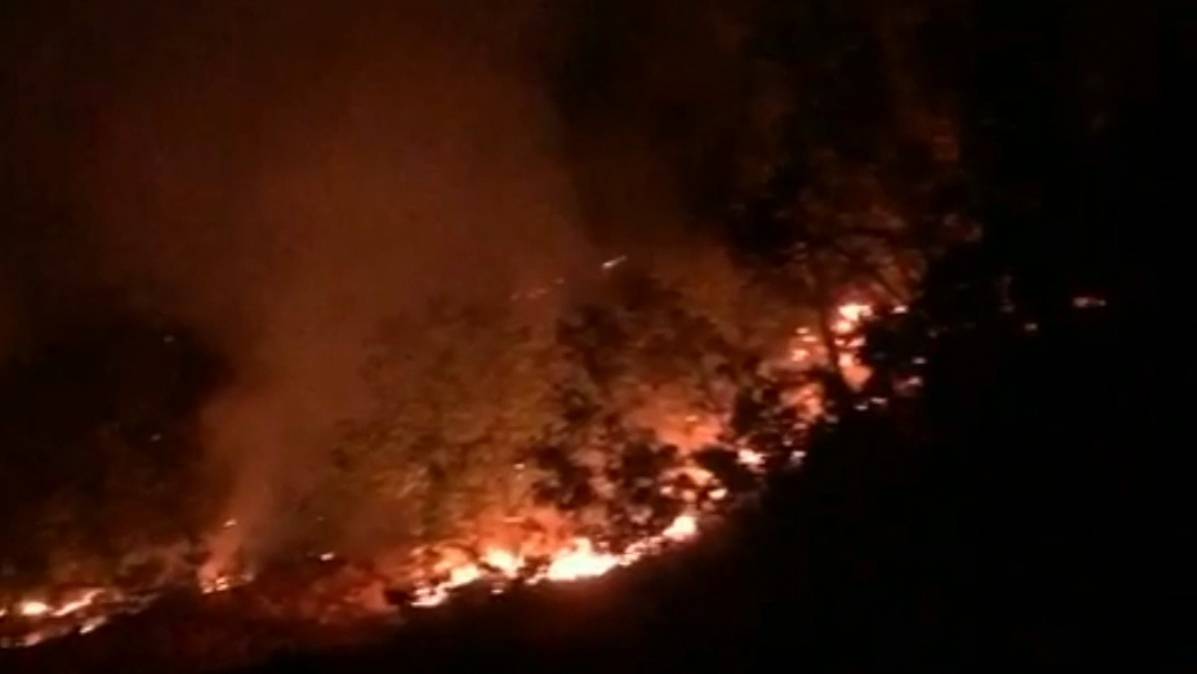Tunceli'de Munzur Vadisi Milli Parkı’nda Orman Yangını (2)