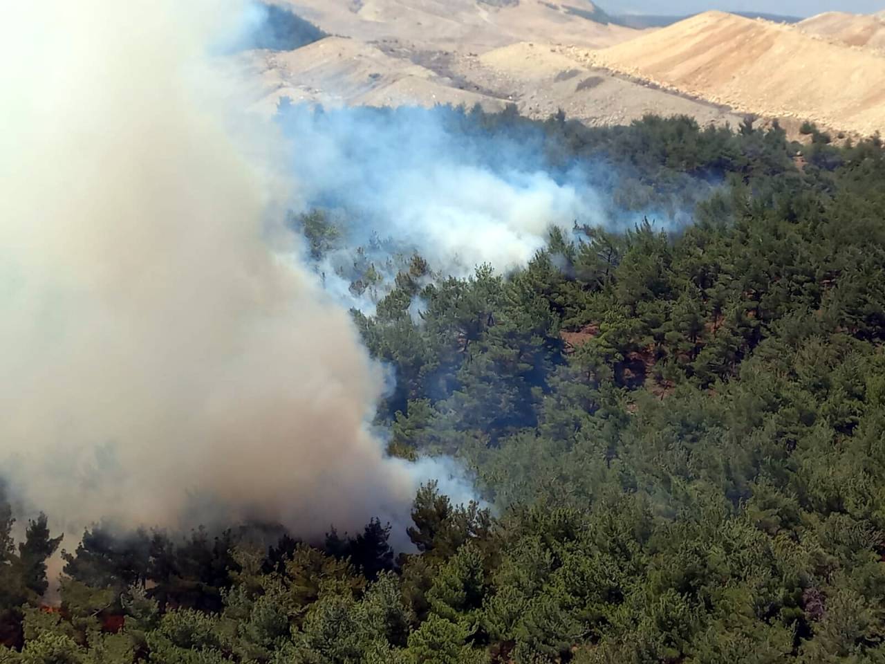 Manisa'da Çıkan Orman Yangını 2 Saatte Kontrol Altına Alındı