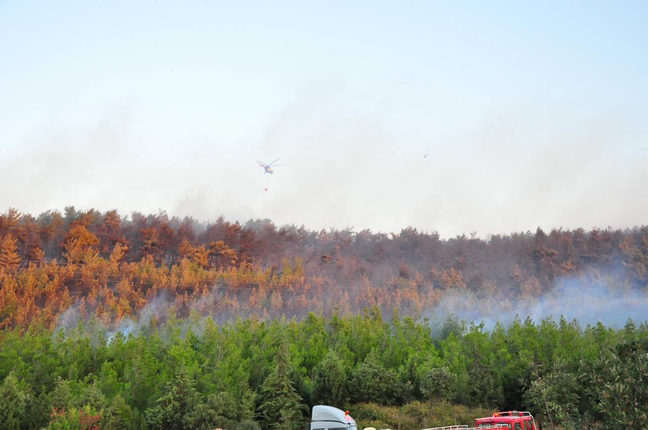 Manisa'da Orman Yangını (3)