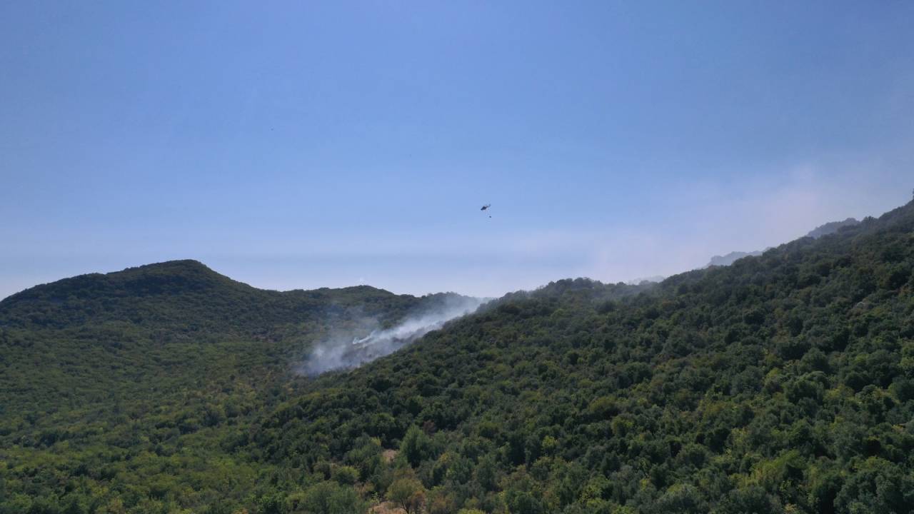 Demre'de Orman Yangını (2)