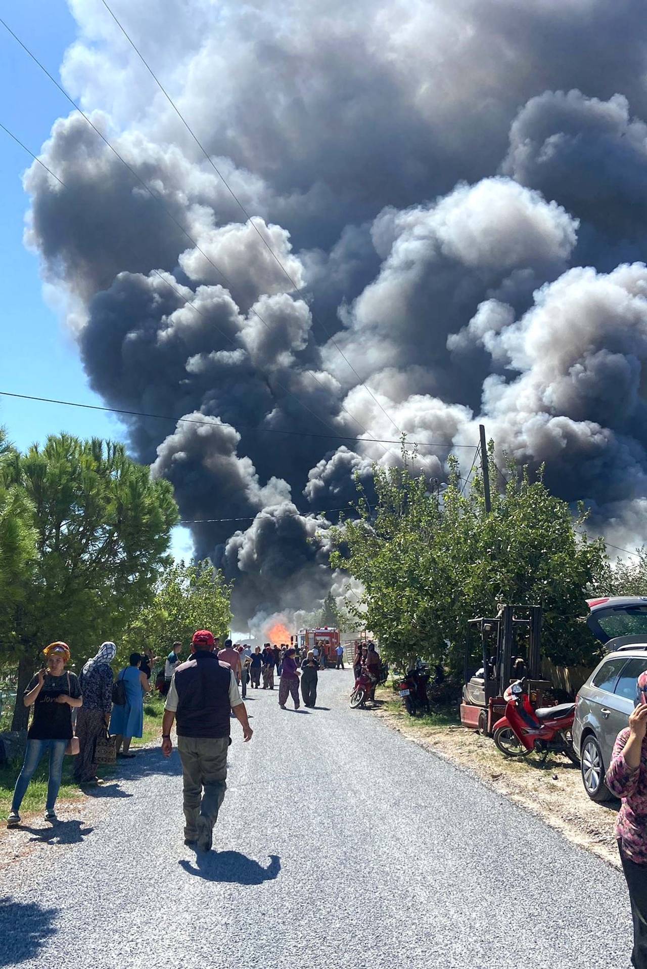 Manisa'da Orman Ürünleri Fabrikasında Yangın