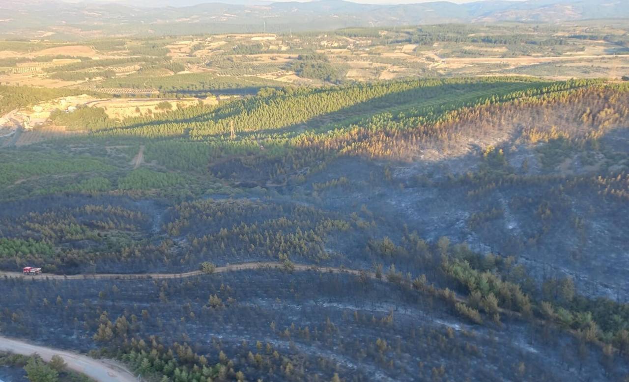 Soma'daki 16 Saatlik Orman Yangınında 60 Hektar Alan Zarar Gördü