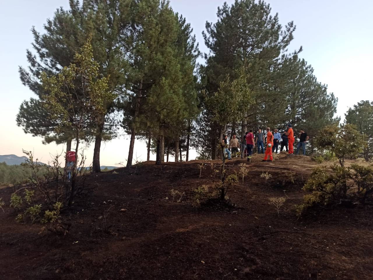 Bingöl'de Orman Yangını Büyümeden Kontrol Altına Alındı