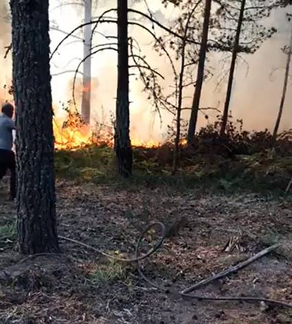 Tokat'ta Dün Söndürülen Ormanda Yeniden Yangın Çıktı