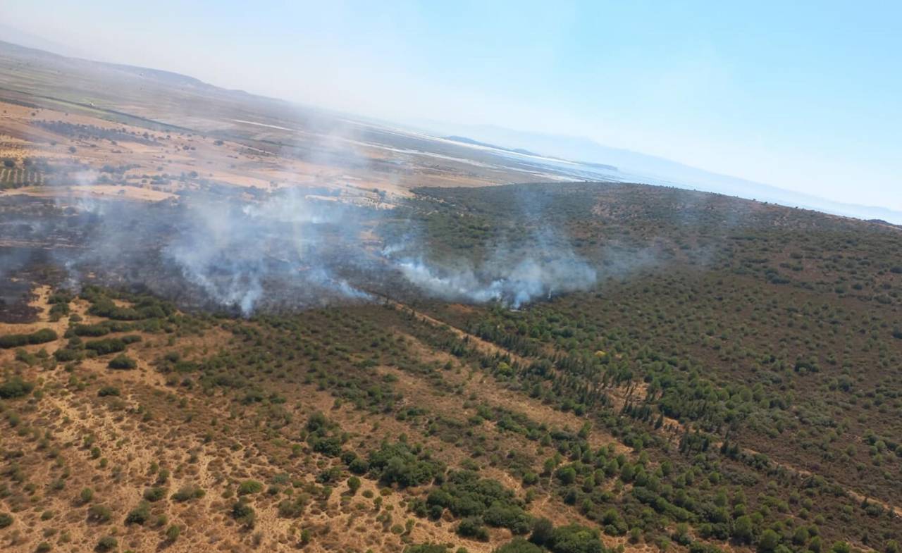 İzmir'de Makilikte Çıkan Yangın Ormana Da Sıçradı