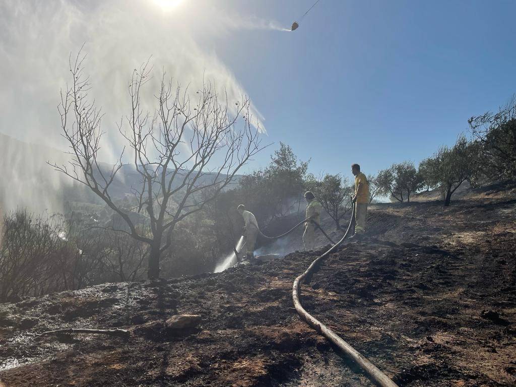 Salihli'de Çıkan Orman Yangını Kontrol Altına Alındı