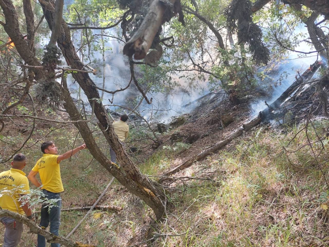 Eskişehir’de Orman Yangını