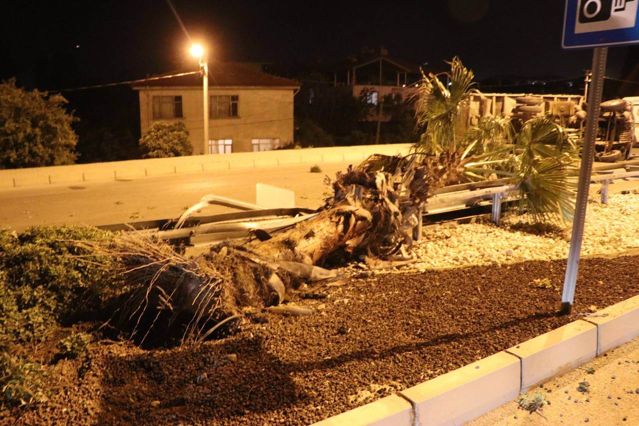 Refüjdeki Palmiye Ağacına Çarpan Kamyonetin Sürücüsü Öldü