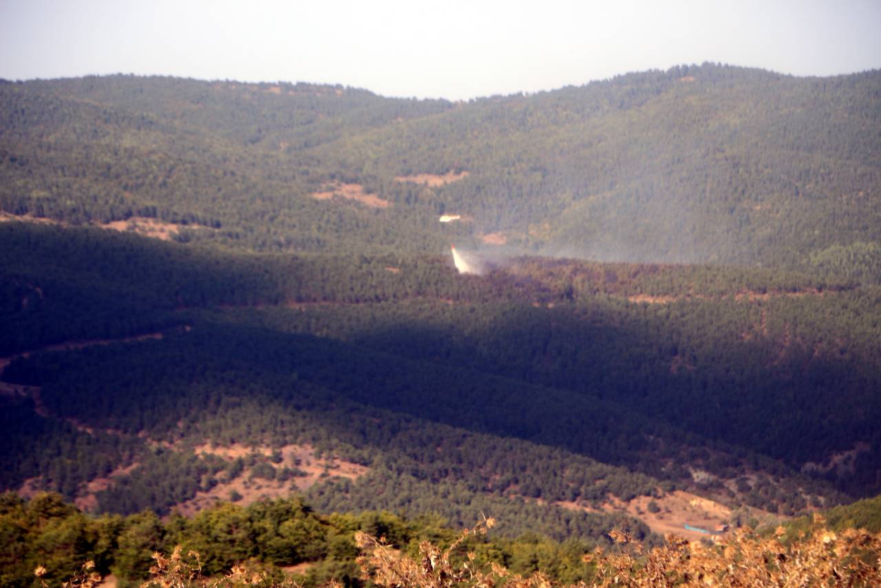 Tokat Orman Yangını (1)