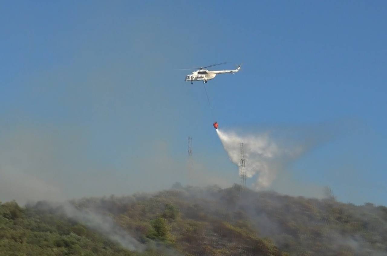 Bursa'da Orman Yangını; 1 Saatte Kontrol Altına Alındı