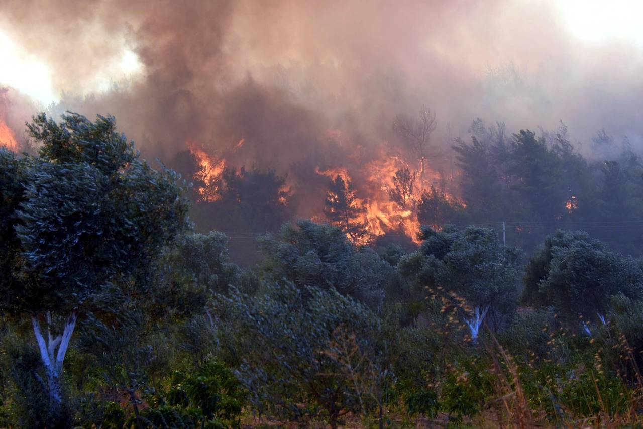 Orman Yangını Çıkardığı Gerekçesiyle 5 Yıl Hapis Cezası Alan Sanık İstinafta Beraat Etti