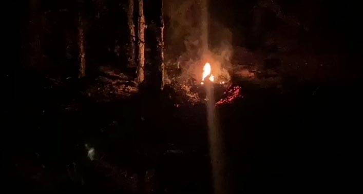 Bolu'da, Orman Yangını Çıkarmaya Çalıştığı İddiasıyla 2 Şüpheli Gözaltına Alındı