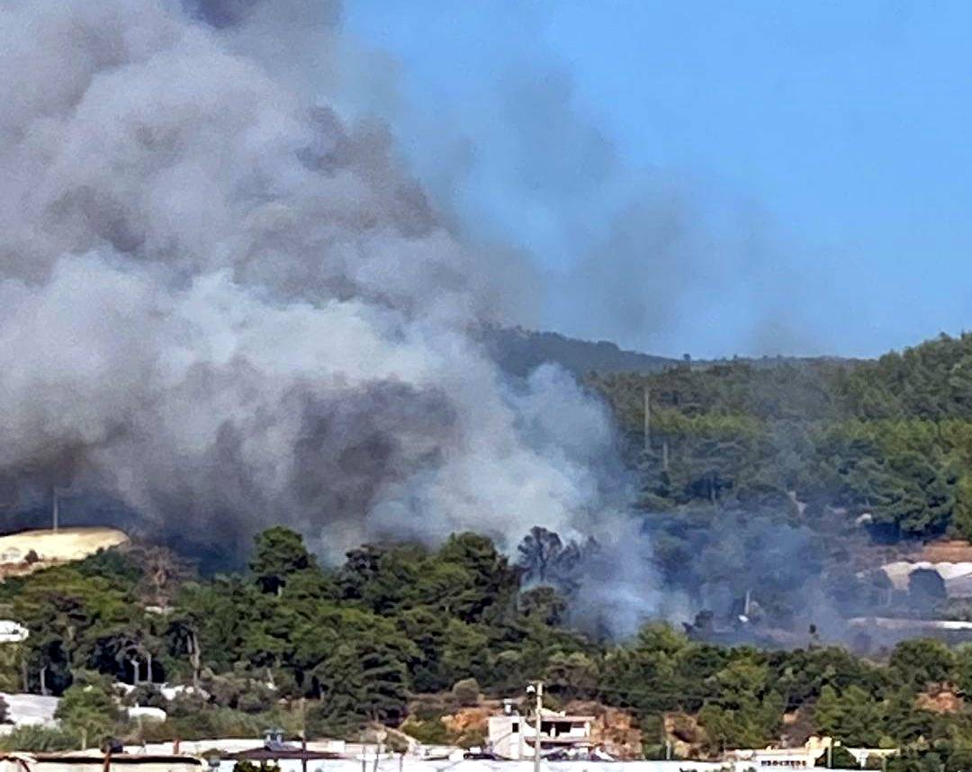 Antalya'da Orman Yangını (2)
