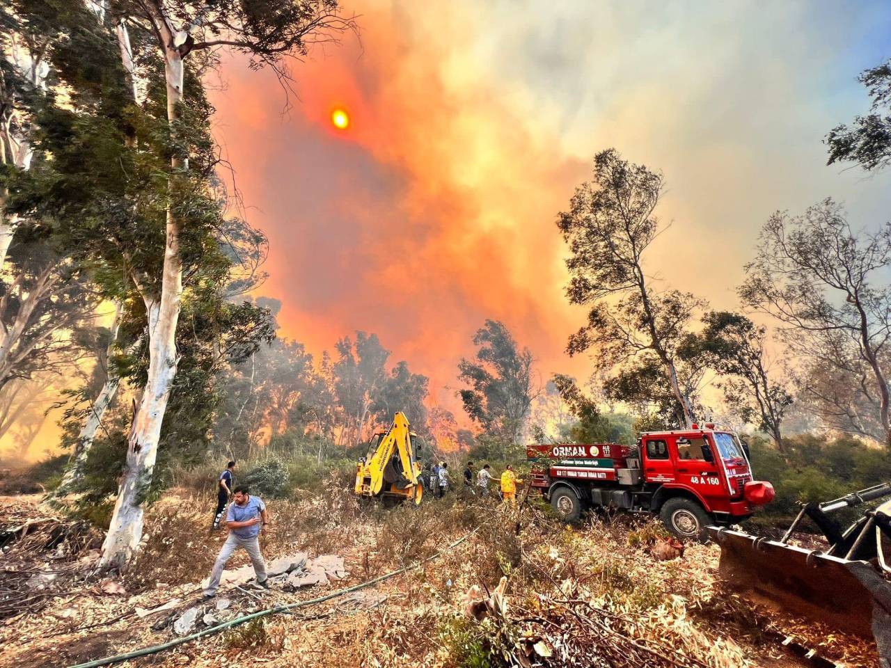 Antalya'daki Orman Yangınında 15 Hektar Zarar Gördü