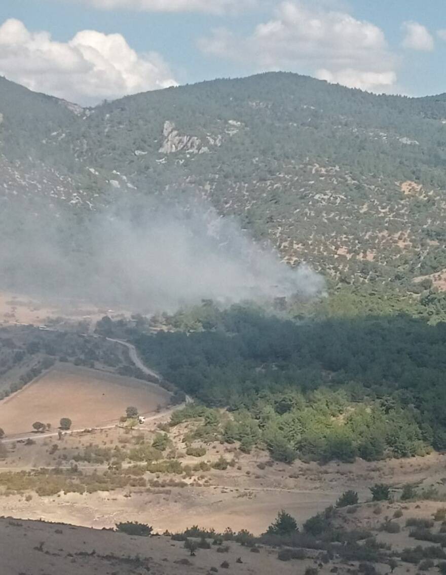 İzmir’de Orman Yangını (1)