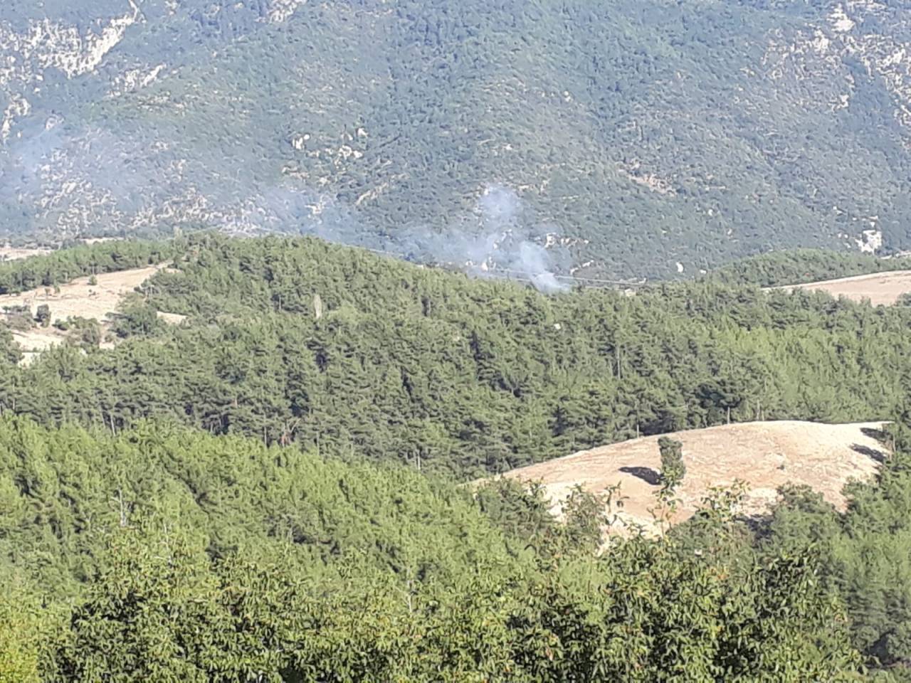 Adana'da 2 İlçede Orman Yangını (1)